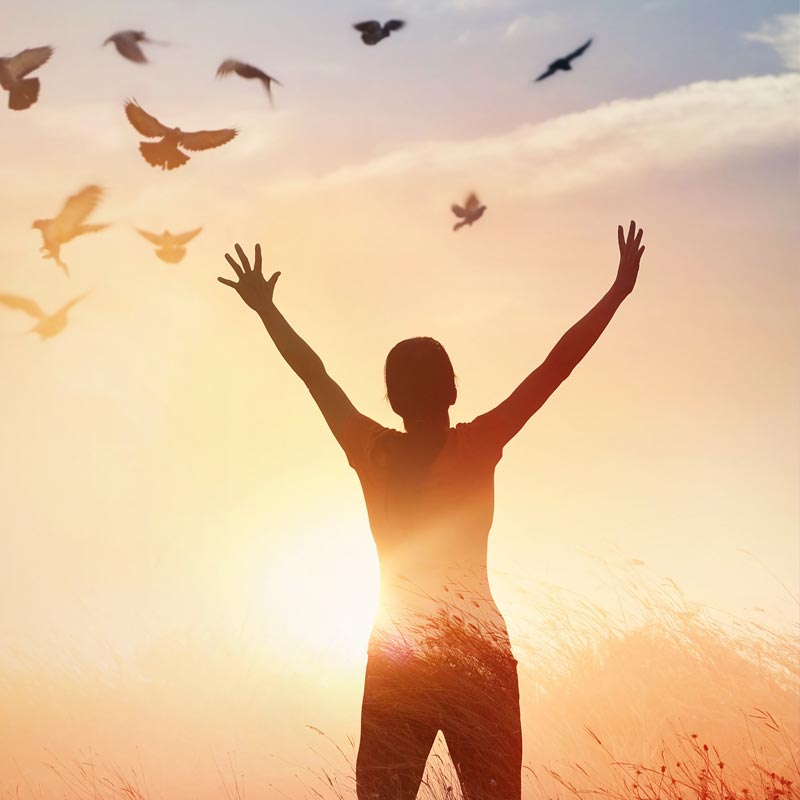 Unlocking Abundance: The Art of Manifesting Telecourse