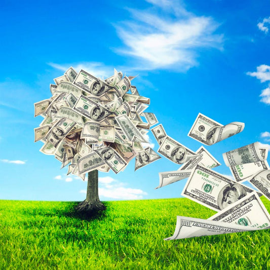 30-Day Financial Freedom Telecourse