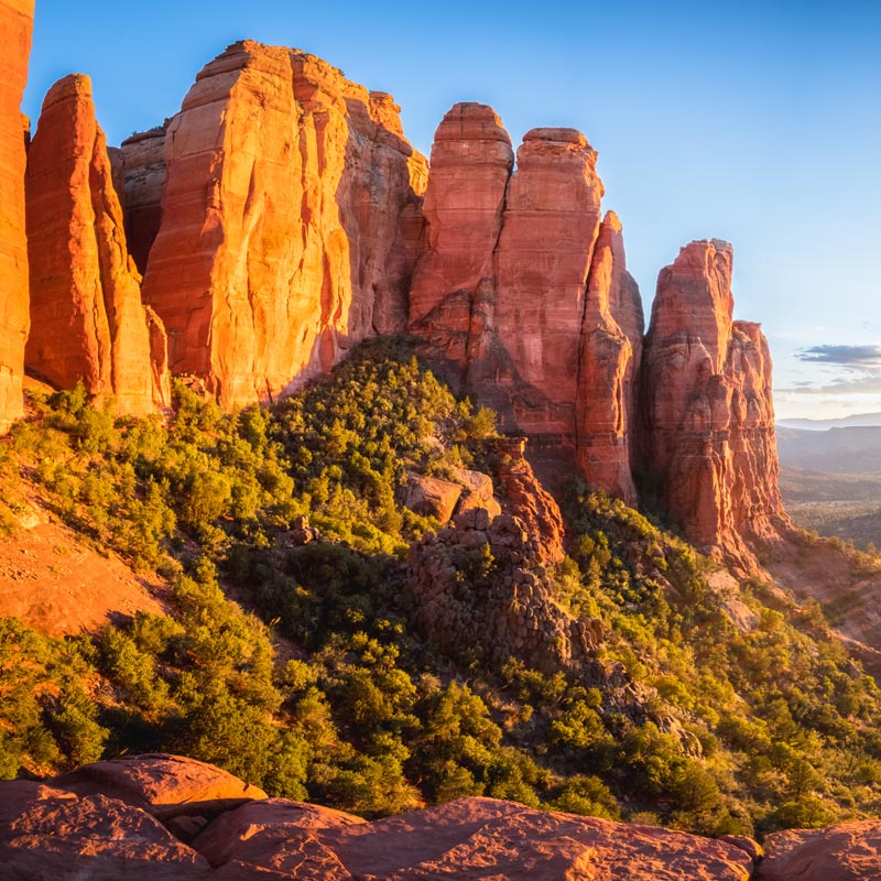 The 7-Day Health, Well-Being, and Enlightenment Retreat Package - Single Room Package